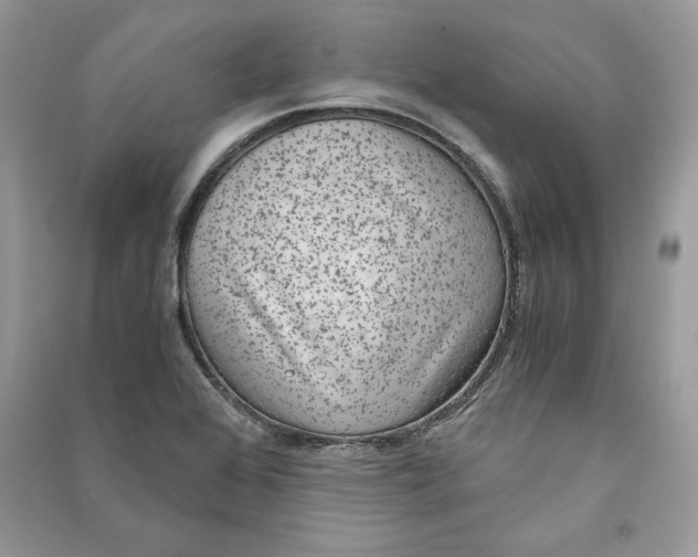 X0000090701368200708101433