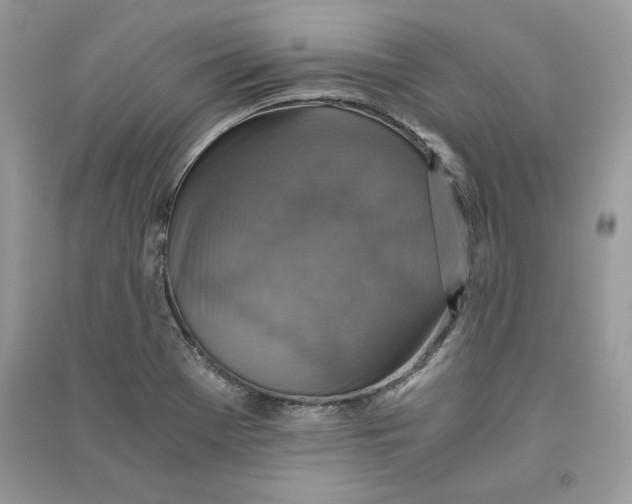 X0000090701369200708101433