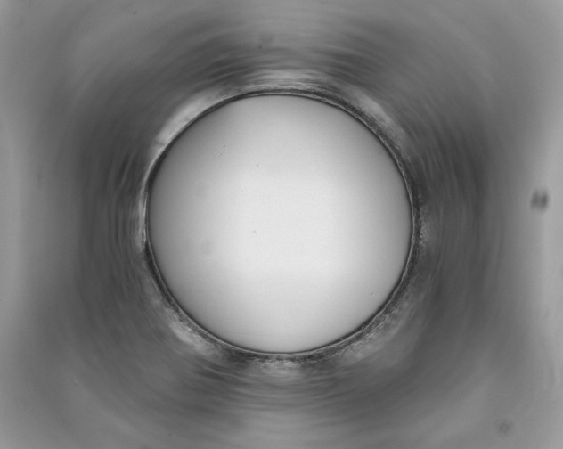 X0000090701370200708101433