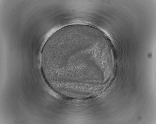 X0000090701371200708101433
