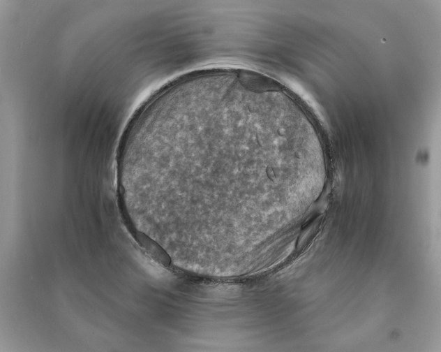 X0000090701372200708101433