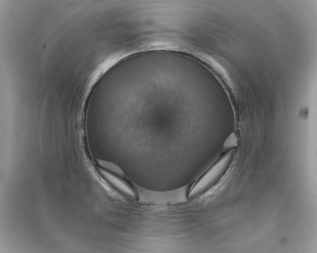 X0000090701373200708101433