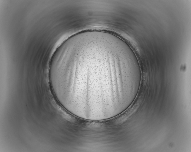 X0000090701374200708101433