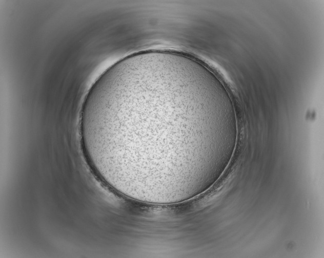 X0000090701375200708101432