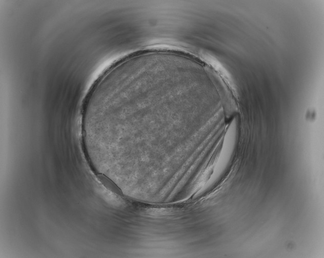 X0000090701376200708101432