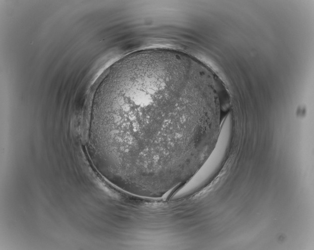 X0000090701377200708101432