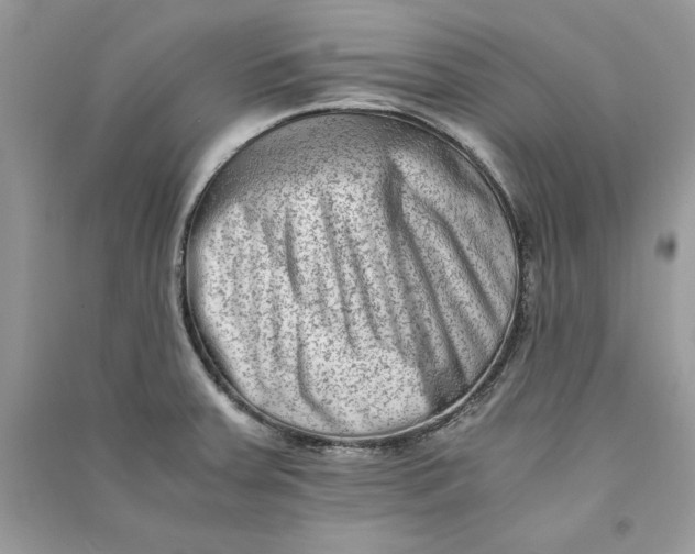 X0000090701379200708101432