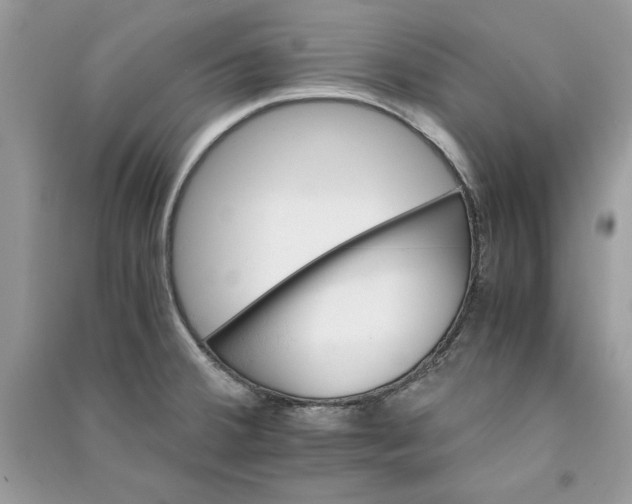 X0000090701380200708101432