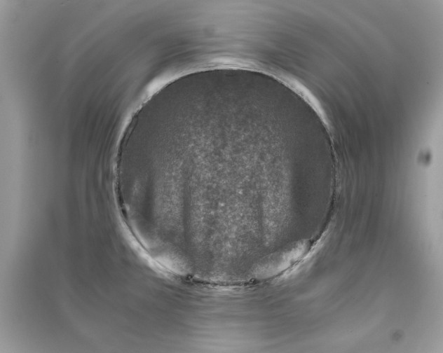X0000090701381200708101432