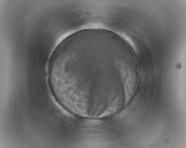 X0000090701382200708101432