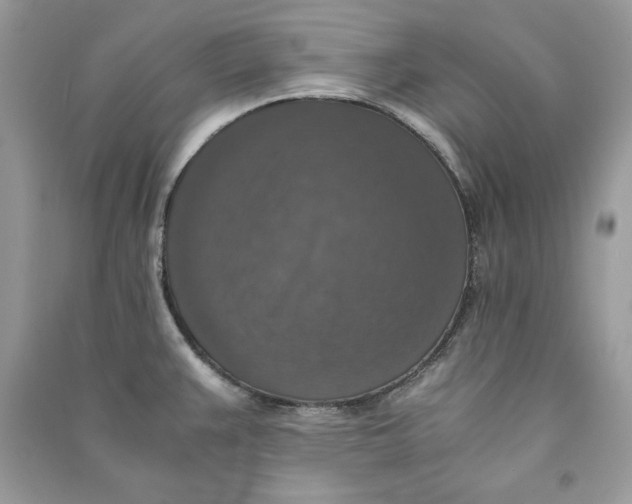 X0000090701383200708101432
