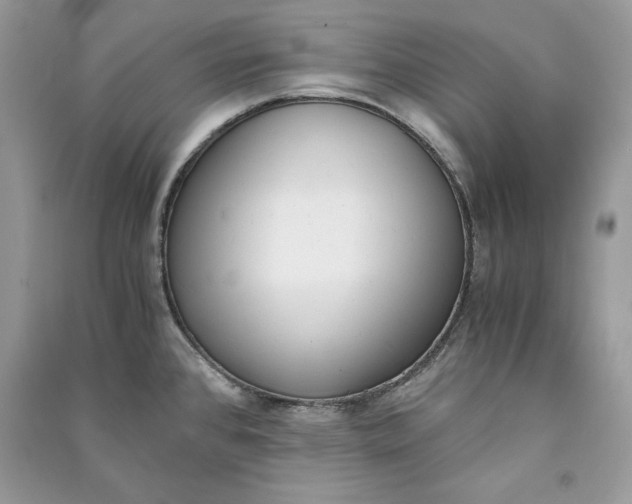 X0000090701384200708101432