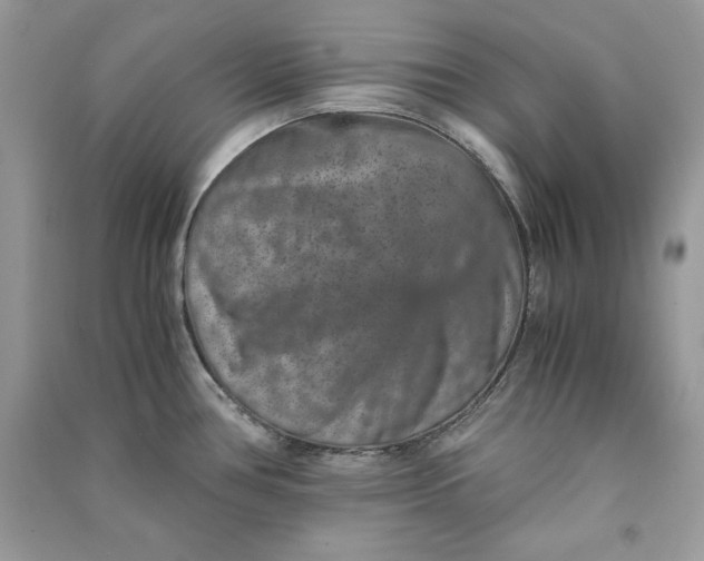 X0000090701386200708101432