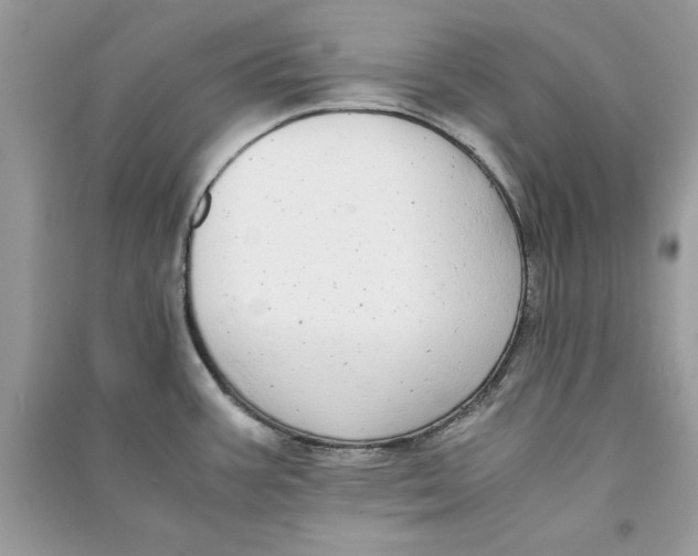 X0000090701387200708101432
