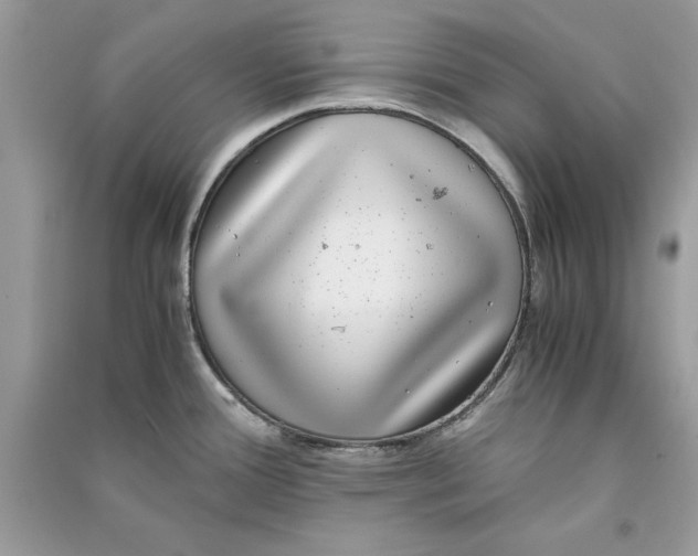 X0000090701388200708101432