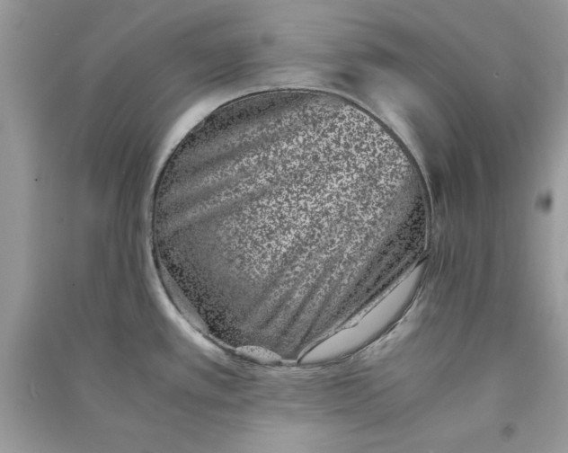 X0000090701389200708101432