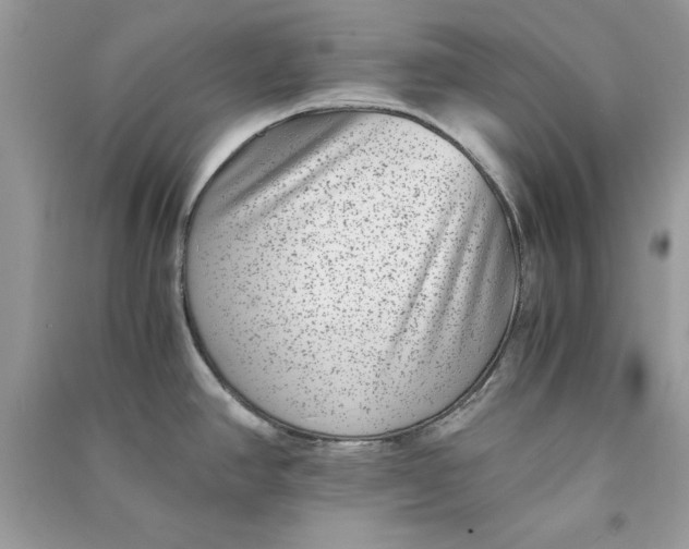 X0000090701390200708101432