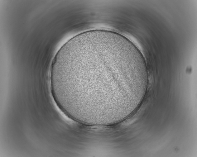 X0000090701391200708101432