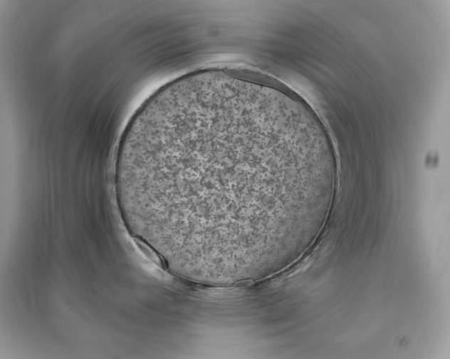 X0000090701392200708101432