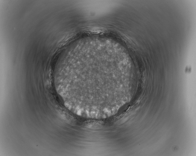 X0000090701394200708101432