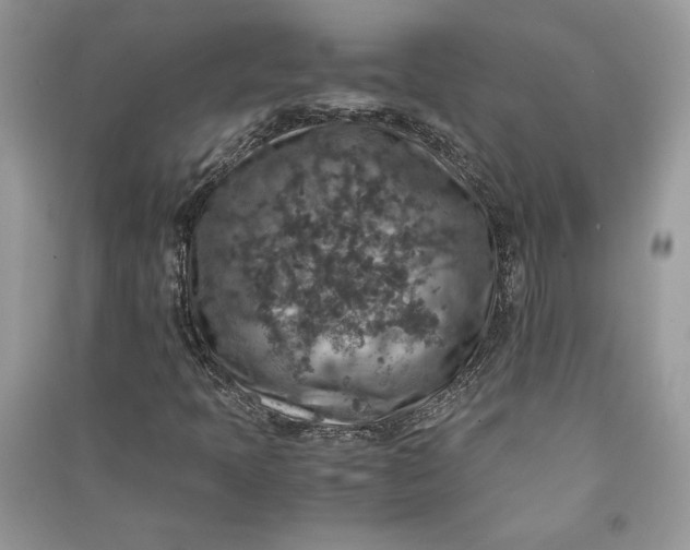 X0000090701397200708101432