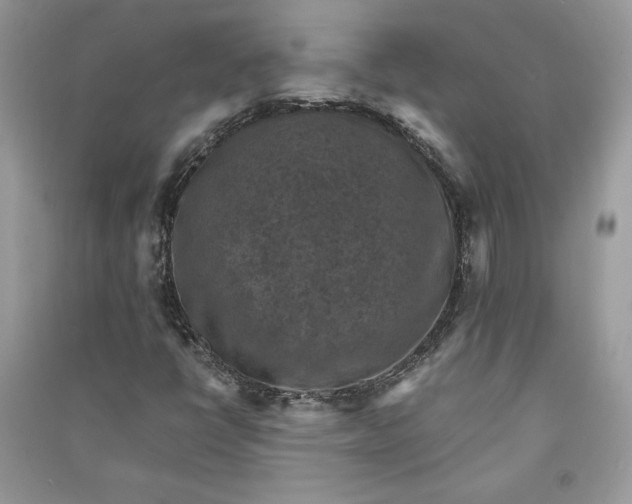 X0000090701398200708101432