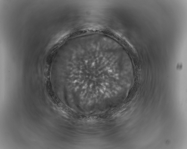 X0000090701399200708101432