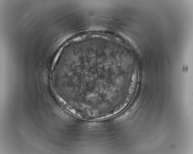 X0000090701401200708101432