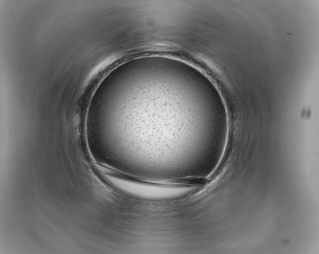 X0000090701402200708101432