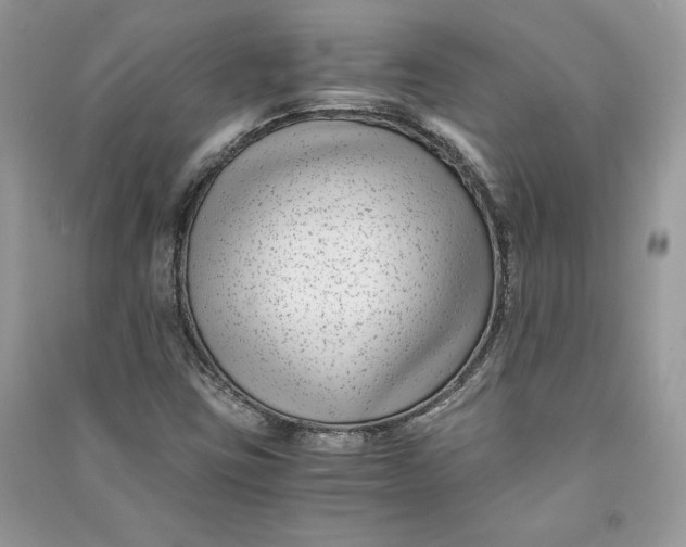 X0000090701403200708101432
