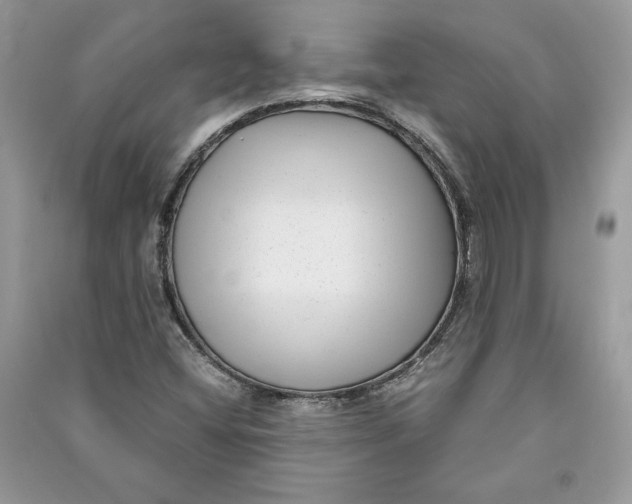 X0000090701404200708101432
