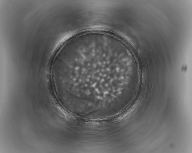 X0000090701405200708101432