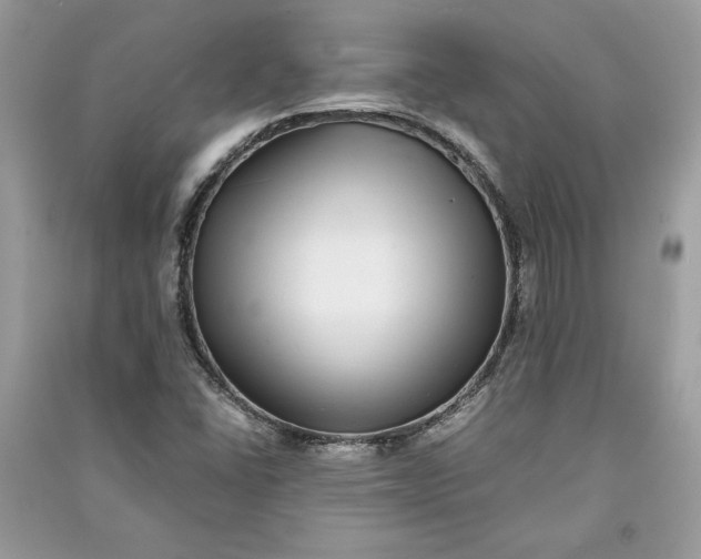 X0000090701406200708101432
