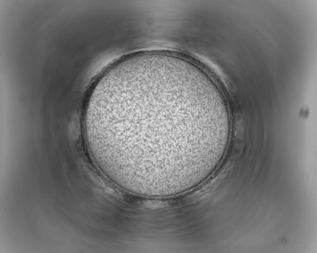 X0000090701407200708101432