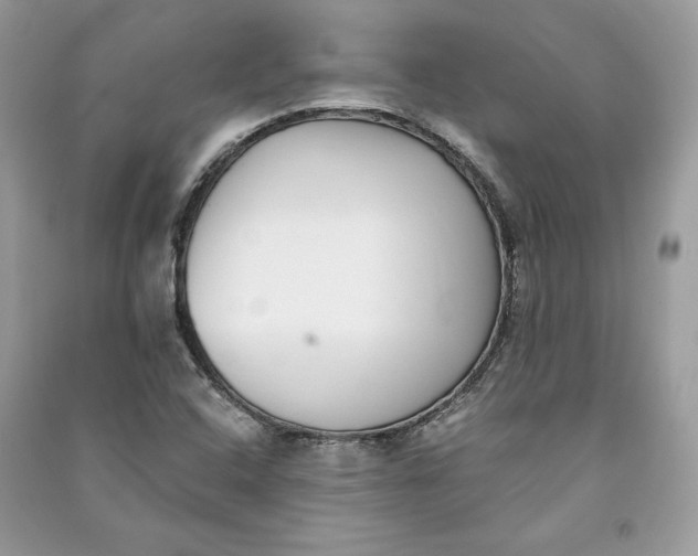 X0000090701408200708101432