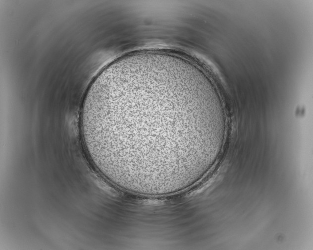 X0000090701409200708101432