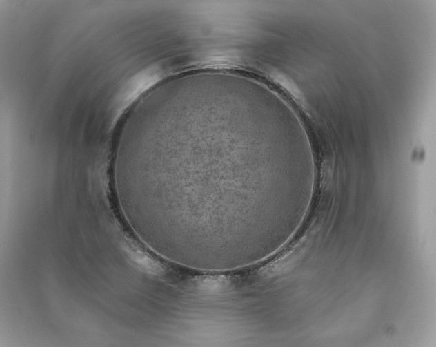 X0000090701410200708101432