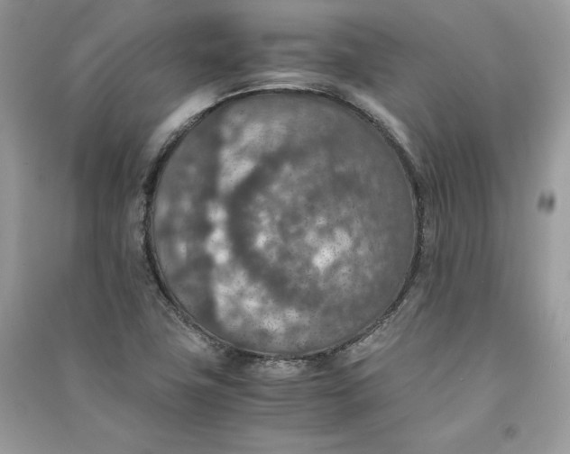 X0000090701411200708101432