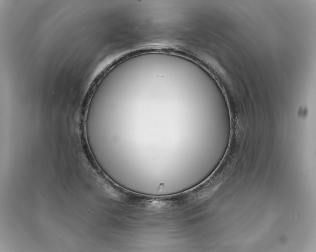 X0000090701412200708101432