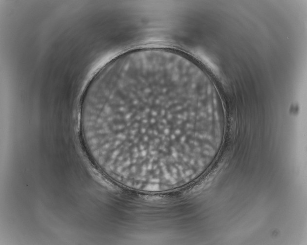 X0000090701413200708101432