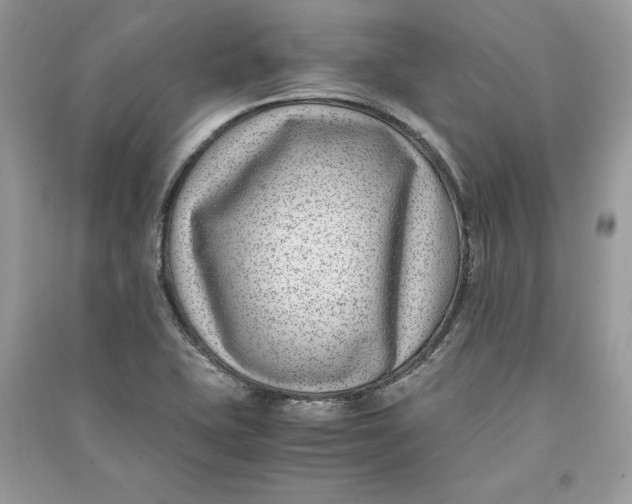 X0000090701415200708101432