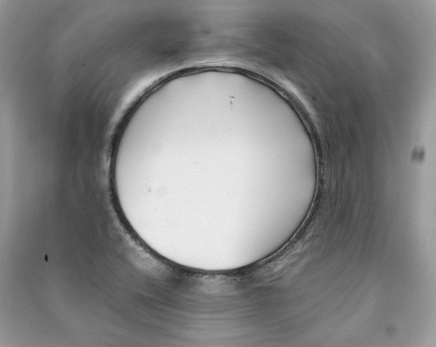 X0000090701416200708101432