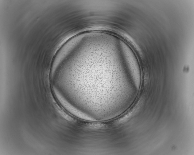 X0000090701417200708101432