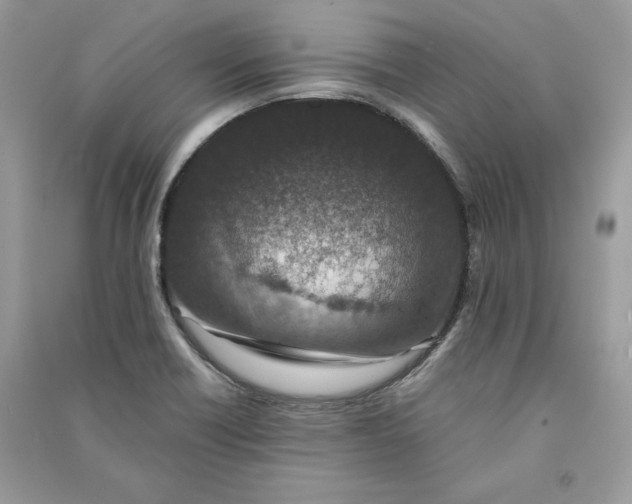 X0000090701418200708101432