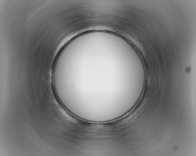 X0000090701420200708101432