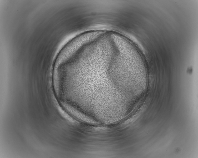 X0000090701421200708101432