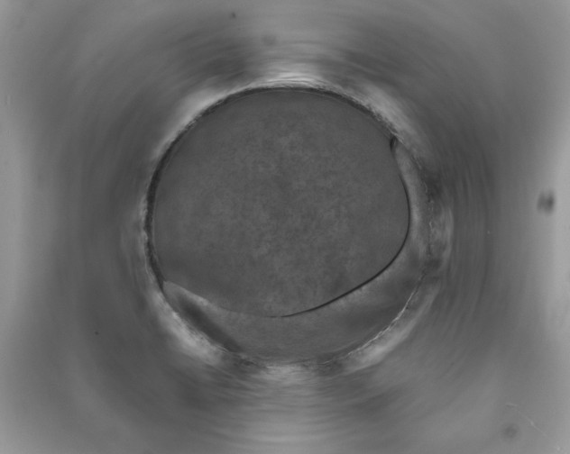 X0000090701422200708101432