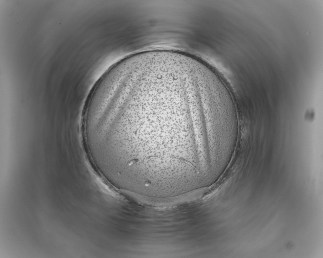 X0000090701423200708101432