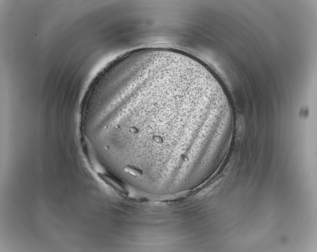 X0000090701424200708101432