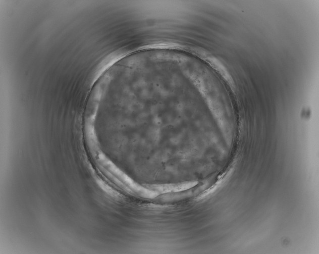 X0000090701425200708101432